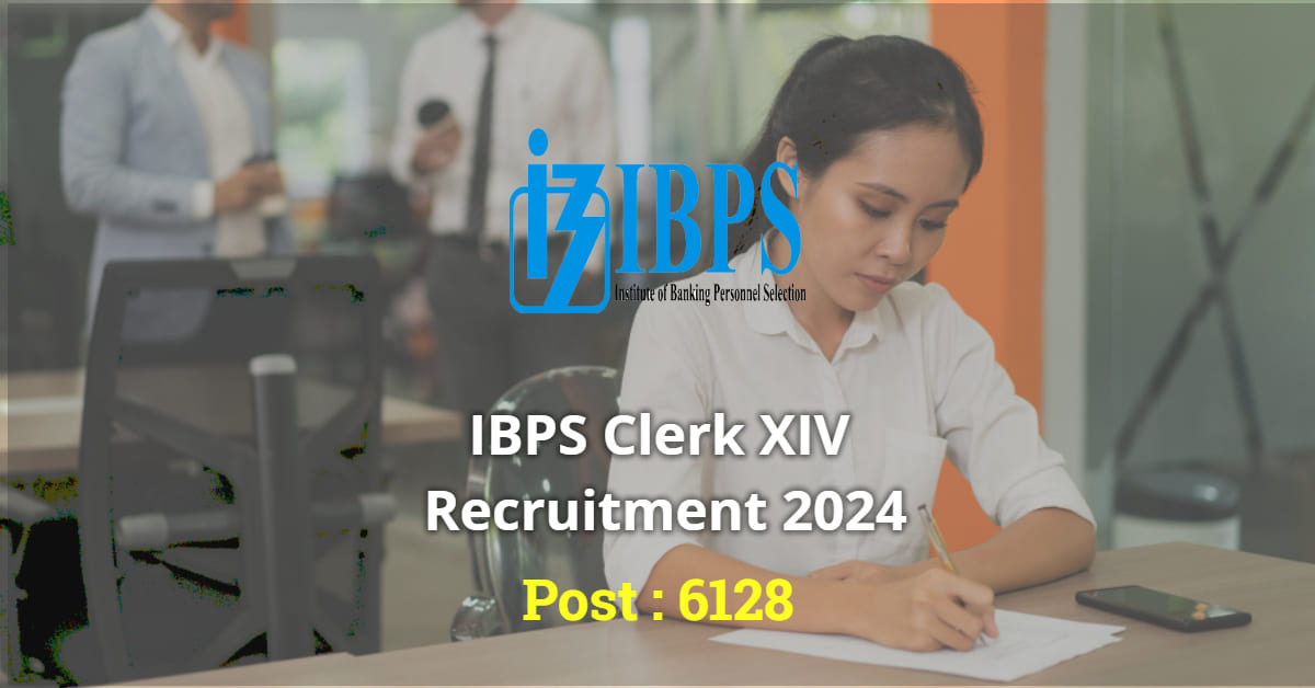 IBPS Clerk XIV Recruitment 2024 – Apply Online for 6128 Vacancies
