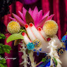NEELESH MEENA